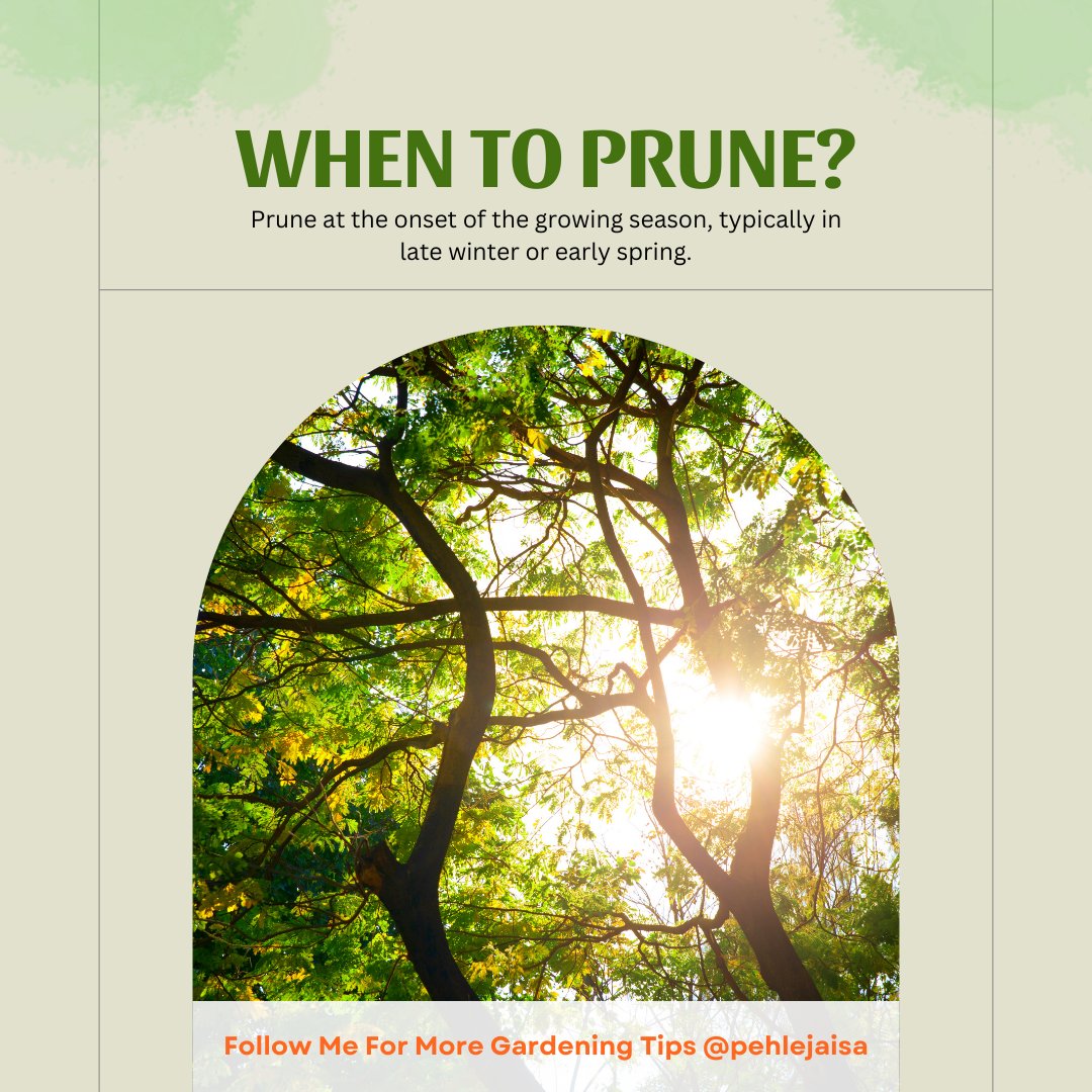 Pehle_Jaisa's tweet image. Buy Pehle Jaisa Organic Fertilizer now from Amazon, Flipkart, and Meesho. #PruningTips #GardeningFAQ #PlantCare #PehleJaisaFertilizer #HealthyPlants