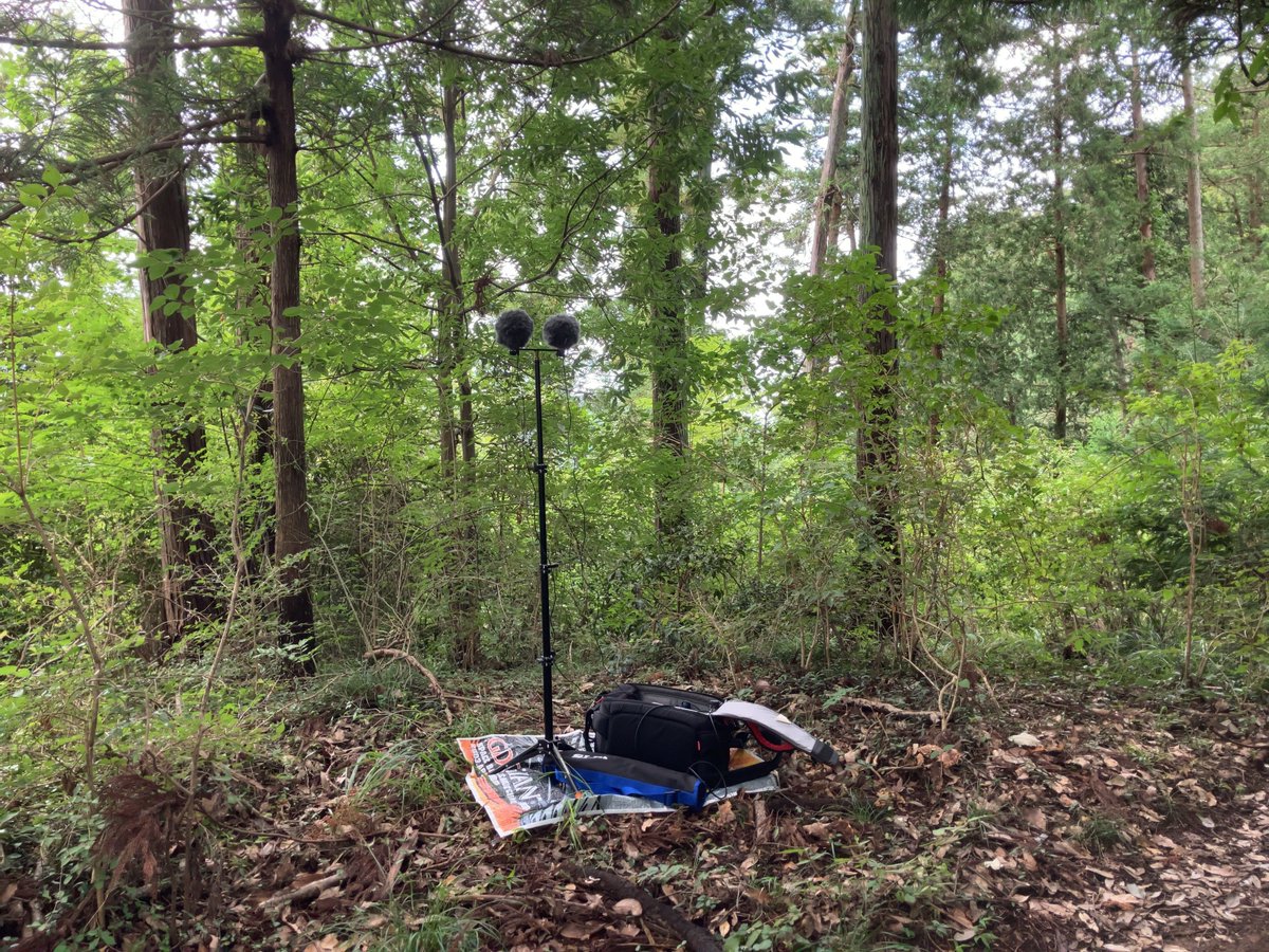 With a small rig, finding locations for the next sound collection.
Got locations and mosquito bites.😅

#fieldrecordings #sounddesign #soundlibrary #gameaudio #antinodedesign