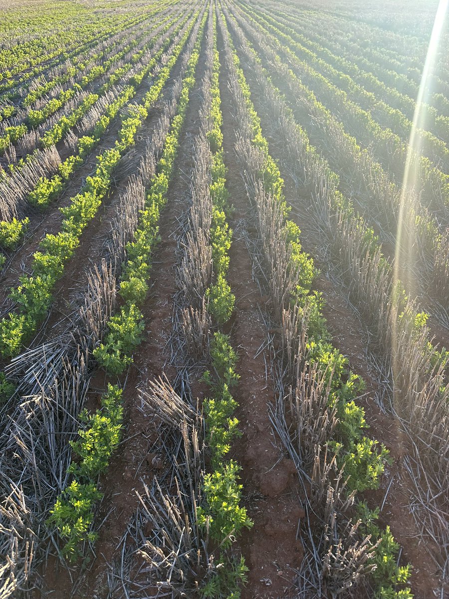 If only farming was as good as photo on Twitter.  Only the good bits.