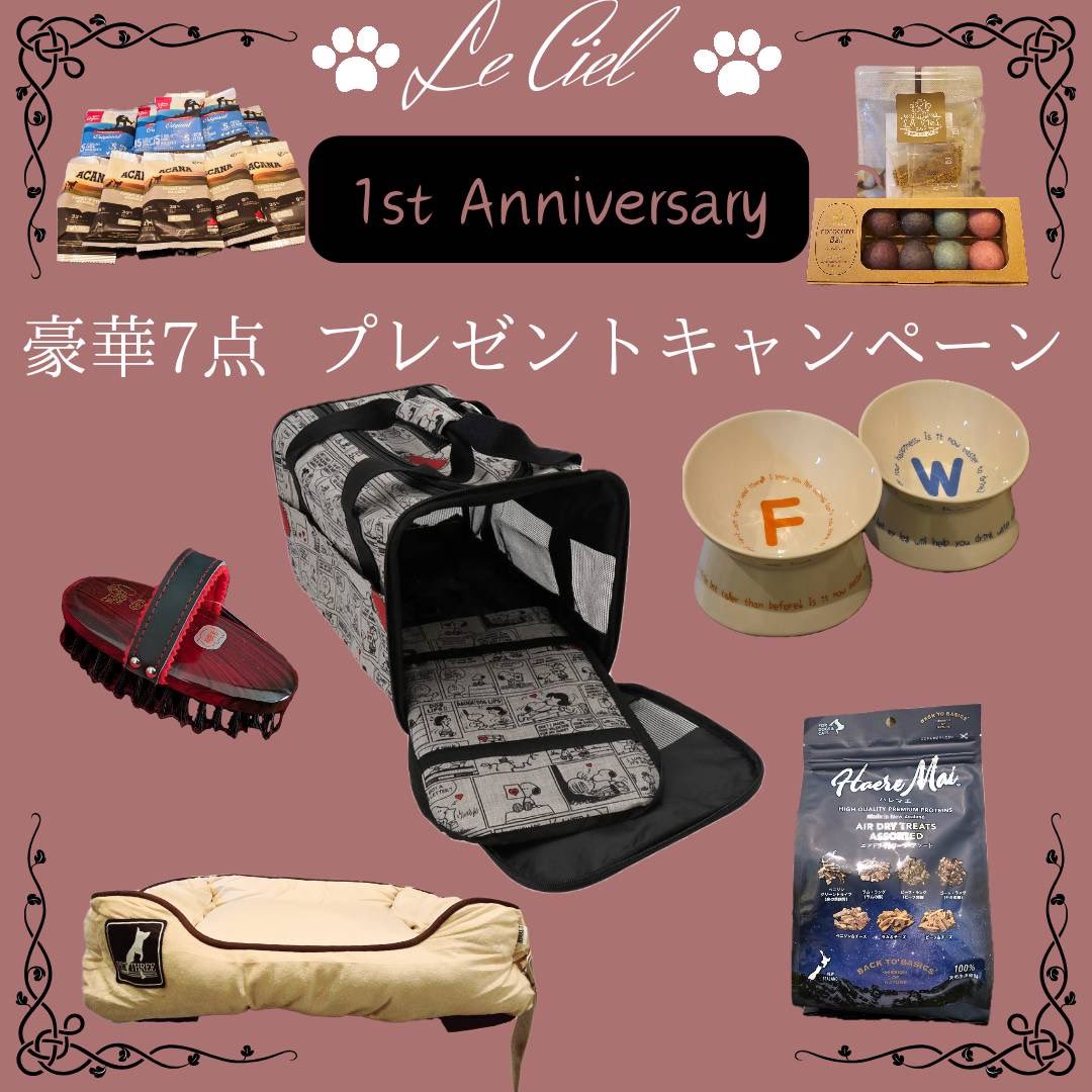 Le_Ciel04's tweet photo. 【拡散希望💦】
ショップの1周年を記念してわんちゃんねこちゃんに抽選で当たるプレゼントキャンペーンを開催中なのですが、Xの方からの応募がほとんどありません🥲
みなさんご応募お待ちしております✨
プロフィールInstagramから応募出来ます🍀 #LeCiel #プレゼント企画 https://t.co/F2mq0ravtt
