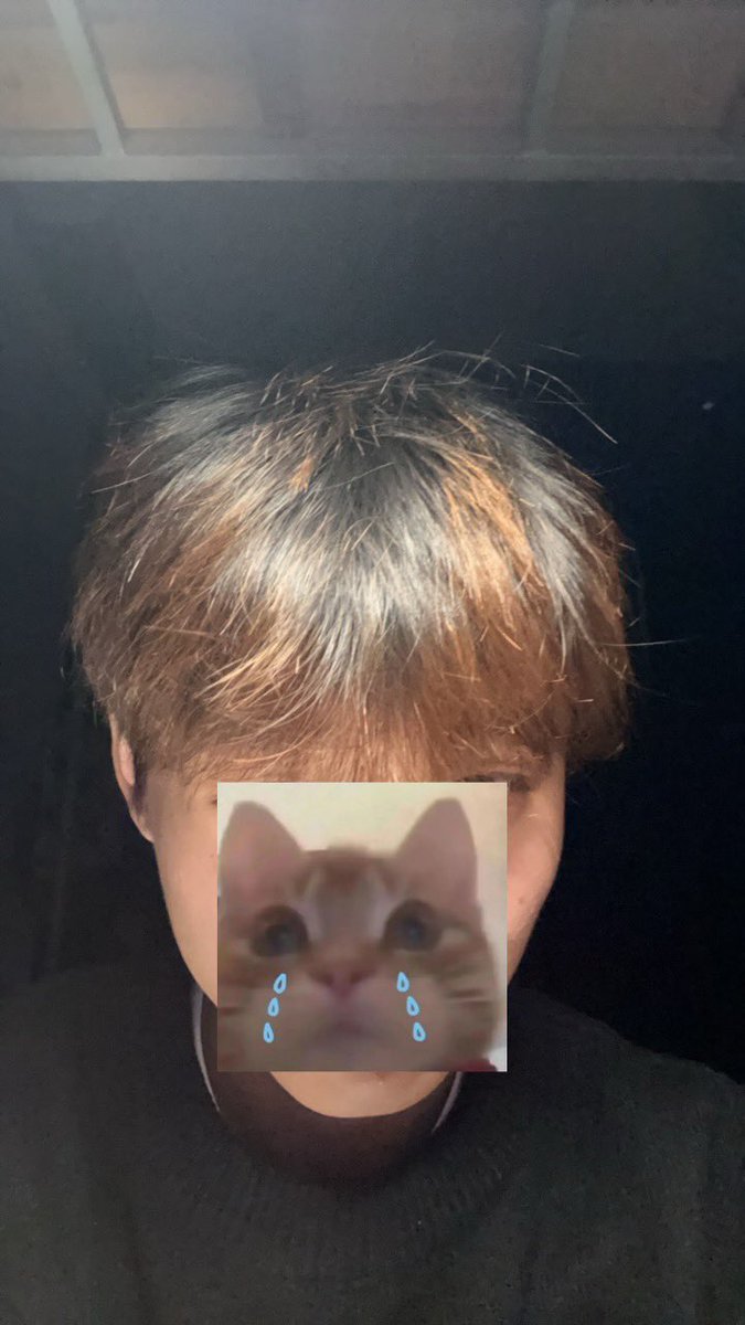 mmuxin2's tweet photo. 哈哈哈哈哈哈 翻相册想起来去年染发尴尬期 早八没洗头油油的 被室友调侃头顶像抹了一层粑粑哈哈哈哈哈哈哈哈🫠 https://t.co/vBH8BD5mEe
