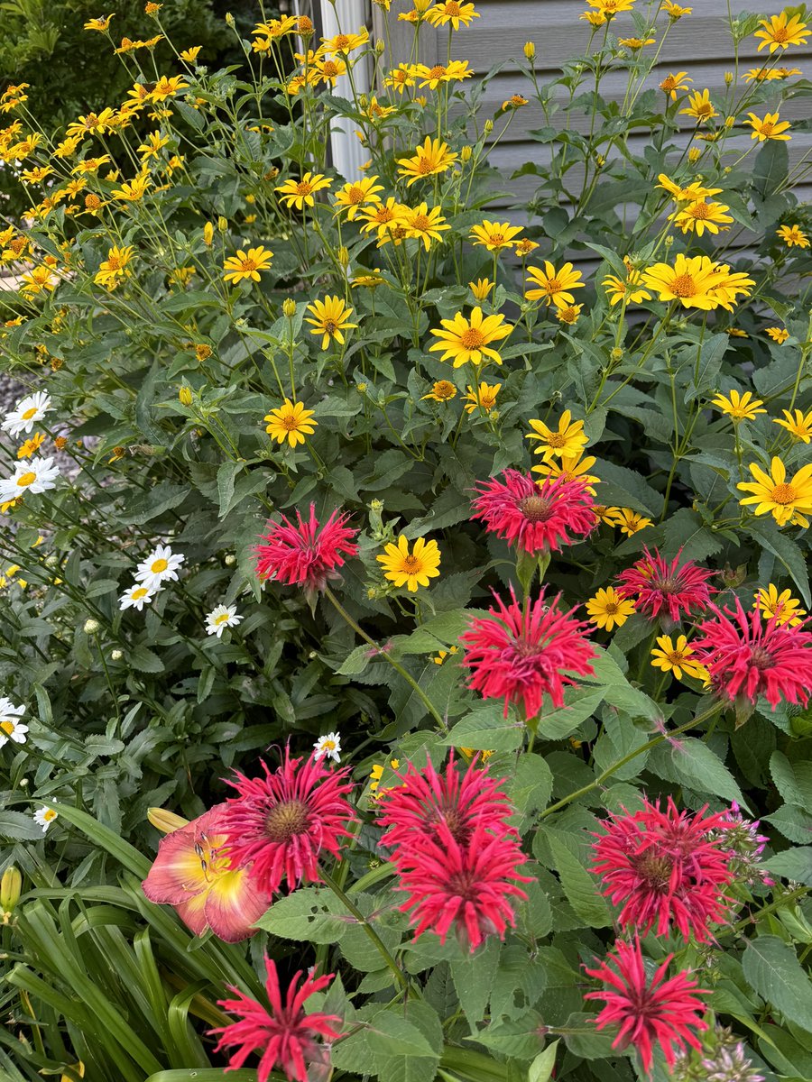 Who doesn’t love some summer flowers?