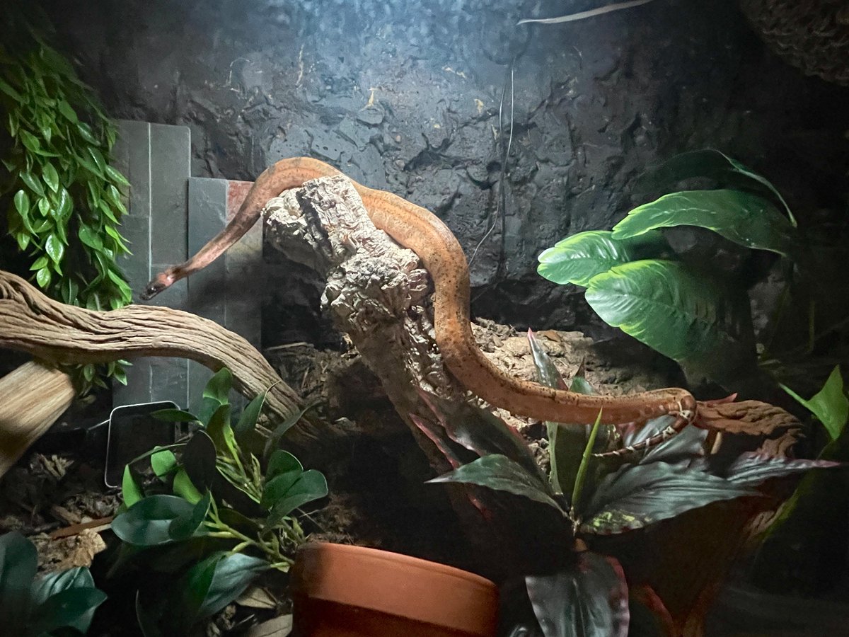 vreified's tweet image. i think he’s finally out of his olive garden container phase omg