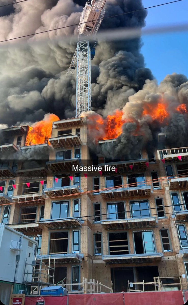 Dju Doughty tweet media