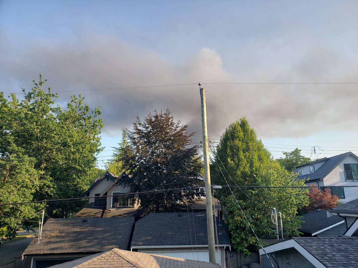 Dju Doughty tweet media