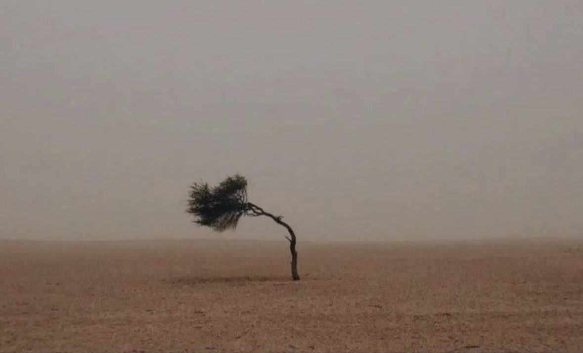 يالله عساني وين ما رحت أو جيت 
أترك أثر طيب ،،،، وذكرى جميلة