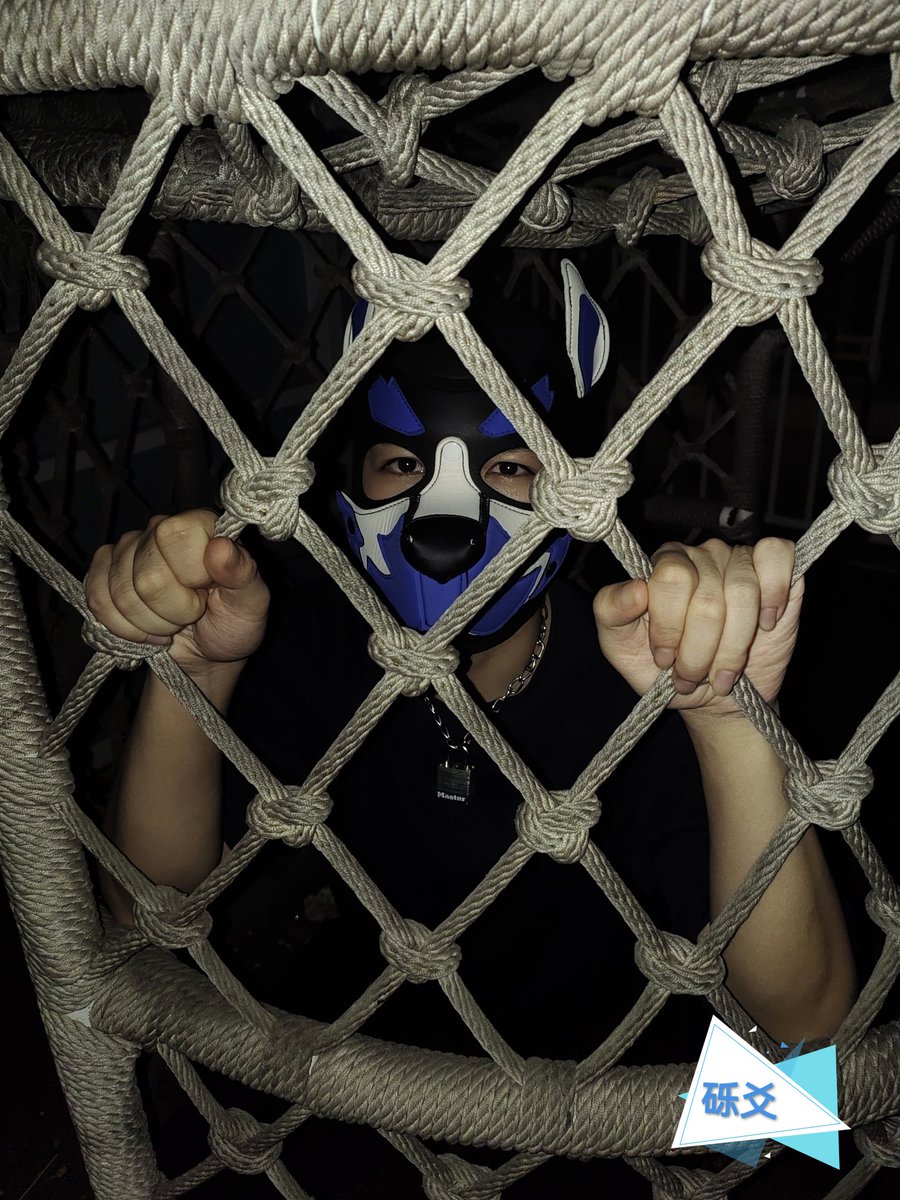 在与好朋狗的广场游乐园欢乐外拍中被关起来了，谁来救救狗狗，呜呜😢😢