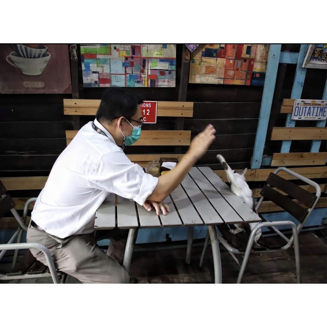 wirojlak's tweet photo. ผ่านฉลุยว่ะเหมียว
เฟี้ยวอยู่แล้วว่ะนุด https://t.co/tPbDW4RQ9N