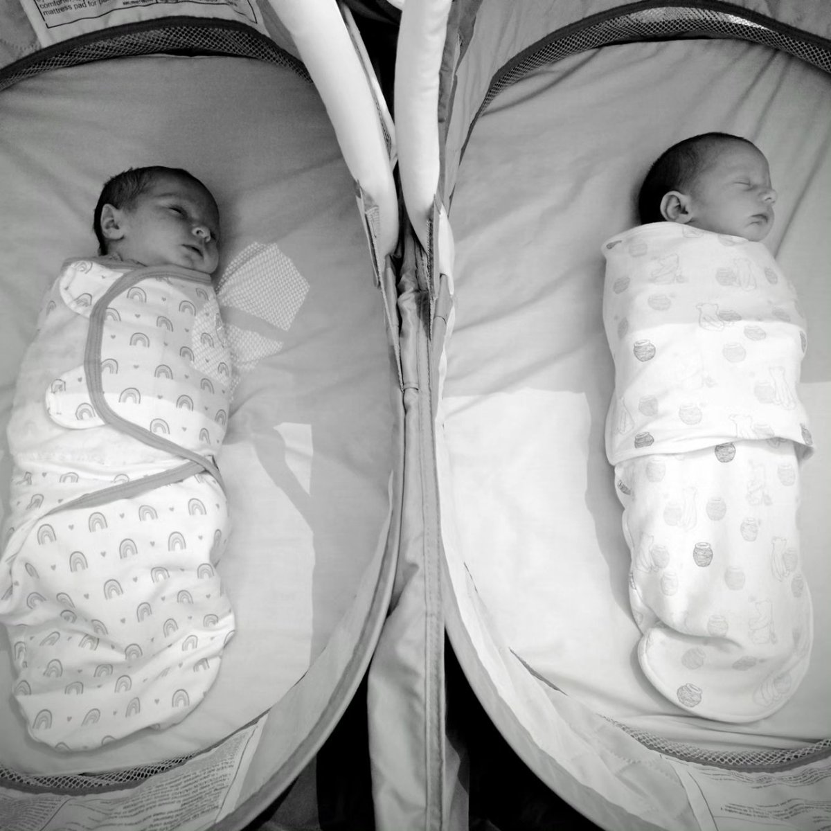 Chad from KC. tweet media