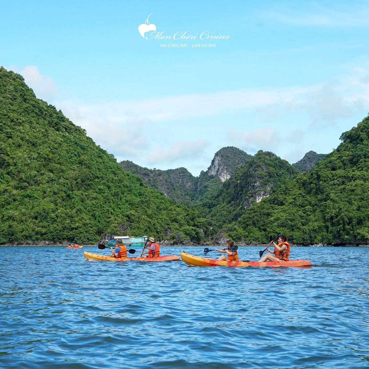 CruisesMon's tweet photo. 🌊 Discover the Thrill of Kayaking on Lan Ha Bay with Mon Cheri Cruises! 🌊
Our guests are having an unforgettable adventure, paddling through the serene waters of Lan Ha Bay, surrounded by stunning limestone karsts and lush greenery. 
🕸️ https://t.co/vEf6VNYyLg
#MonCheriCruises https://t.co/C2dRxaUIEu
