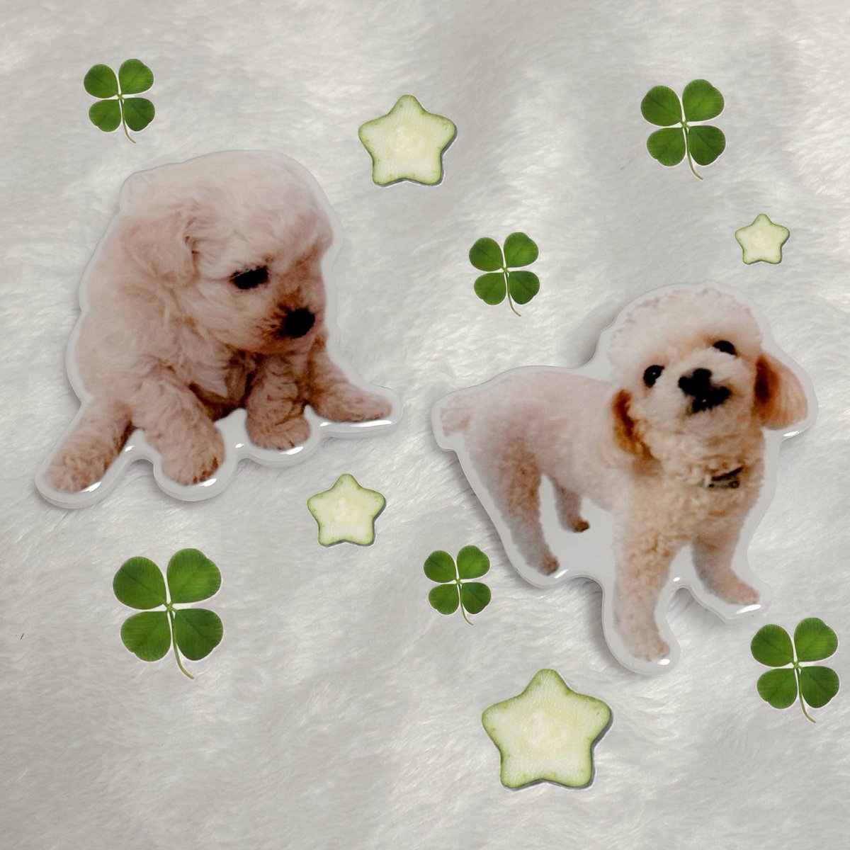 🍞 𝙃𝘼𝙋𝙋𝙔 𝙔𝙊𝙐𝙉𝙂𝙃𝙊𝙊𝙉 𝘿𝘼𝙔 🍞

넌 보리 없지? 난 있는데ㅋ

영훈이 생일을 맞이해 🐶보리공주 그립톡🐶
#rt 추첨 두 분께 드립니다

- 국내 거주자 한정
- 더비6기 or 영훈 버블 인증