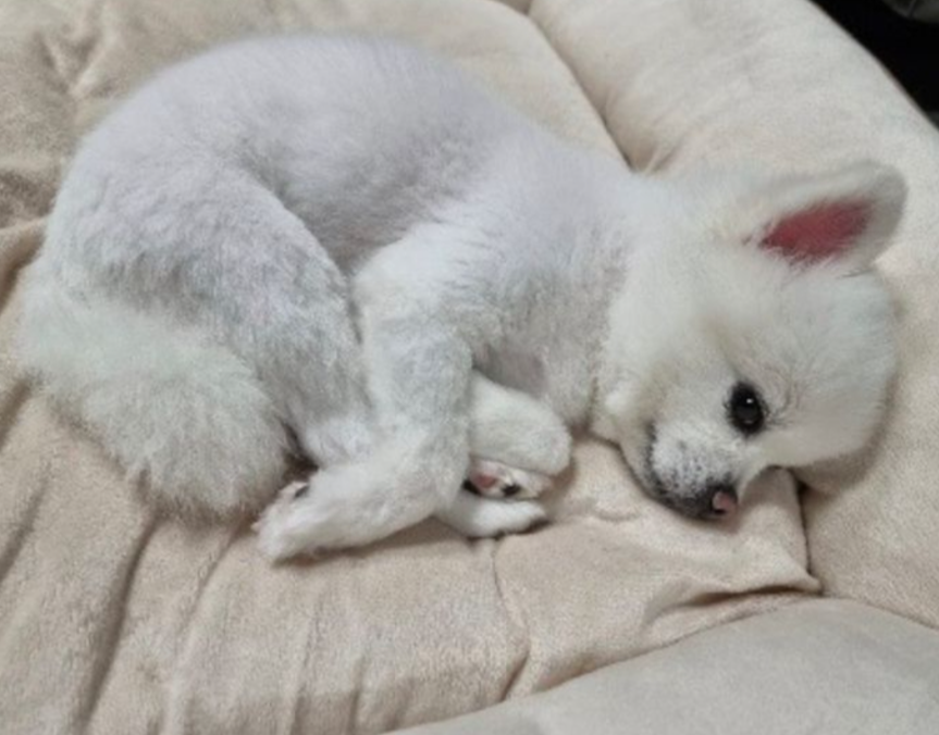 #uhmtaegoo #엄태구  has finally opened his own instagram account and shared umji as his first post.