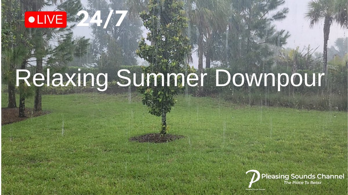 PleasingSoundsC's tweet photo. New 24/7 livestream featuring the soothing sounds of a summer downpour #whitenoise #Soothingsounds #Rainnoise #PleasingSoundsChannel #RainDownPour #NaturalSounds 

https://t.co/LdNrsjsht1 https://t.co/N1MKRTXNef