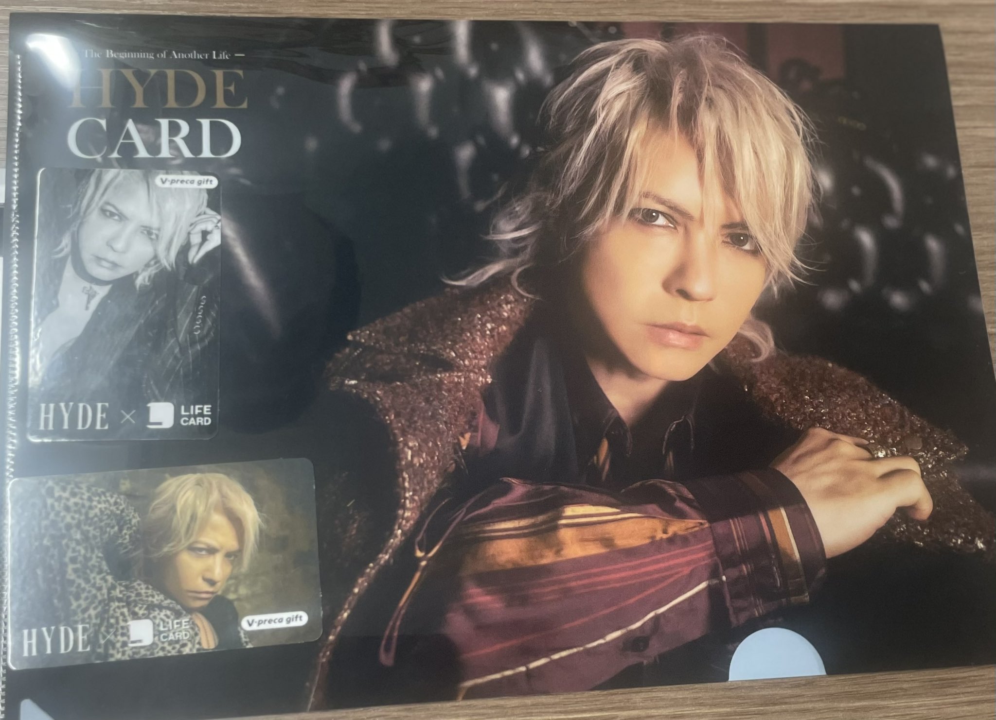 HYDE ポスター E hygacha ファブリックポスター 非売品 グッズ HYDE 2023年 ハイガチャ ファブリックポスターE未使用 タレント