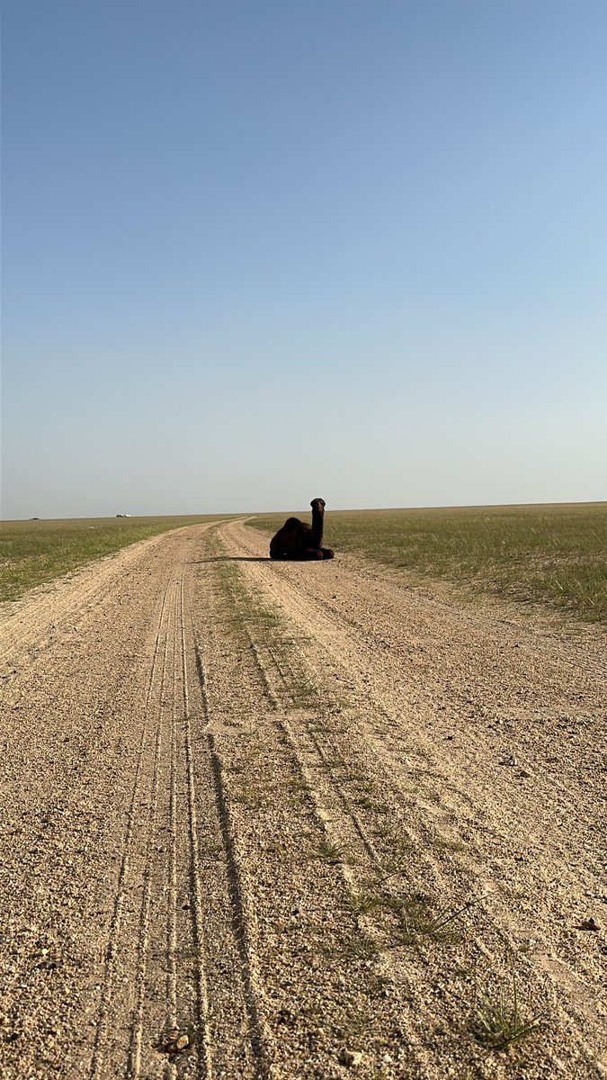 خلوني أبعد عن ألواقع وأعيش ألخيال 
مع أنّي العاقل أللي ،،،،،، عايش وأقعي.