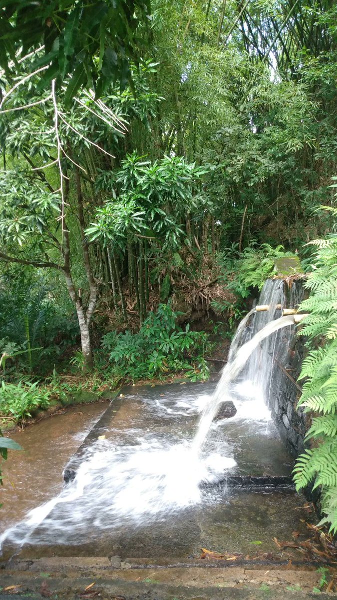 Dinho_F's tweet photo. Cachoeira https://t.co/7rMTH3OoDf