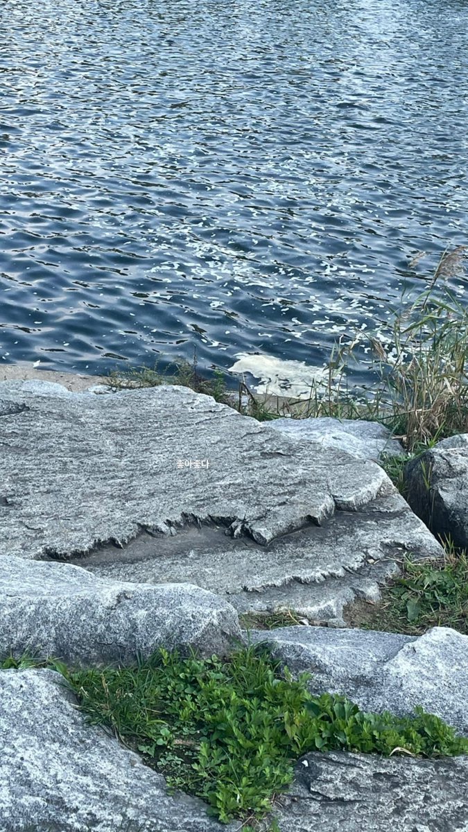 [211014] Umji 📸 Story Update 

🐹: Good, good