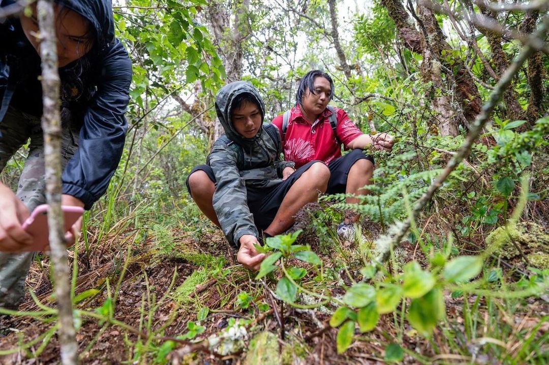 Kamehameha Schools tweet media