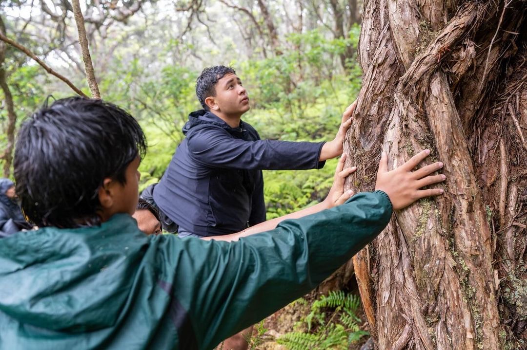 Kamehameha Schools tweet media