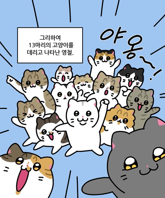 ~13마리 고양이 등장~ 
