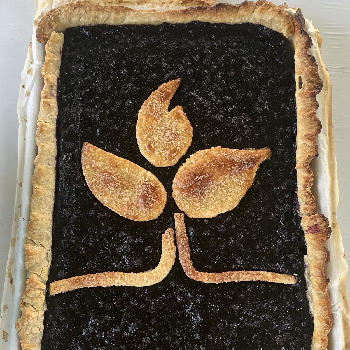 Do you recognize this design!? Someone special made a blueberry dessert with our book cover to help us celebrate the publication! <a href="/jody_guarino/">Jody Guarino</a>
