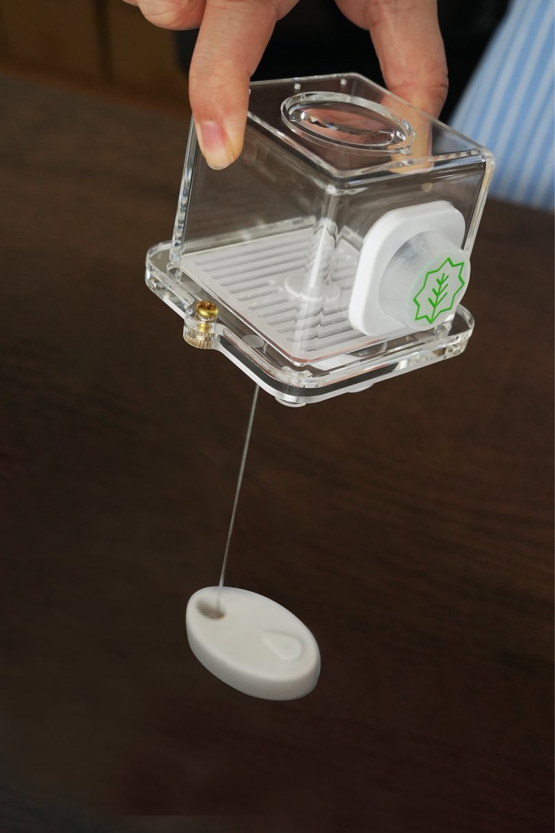 EllenWei15's tweet photo. Bud Display Box With Anti-theft Rope Magnifier Smell Holes
#smellbox #bud #displaybox #dispensary #smokeshop #cannabis #weed #antitheft #420community https://t.co/Pmq1DCKaqX