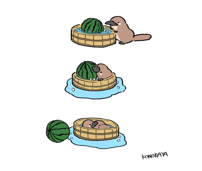 カモノハシ 