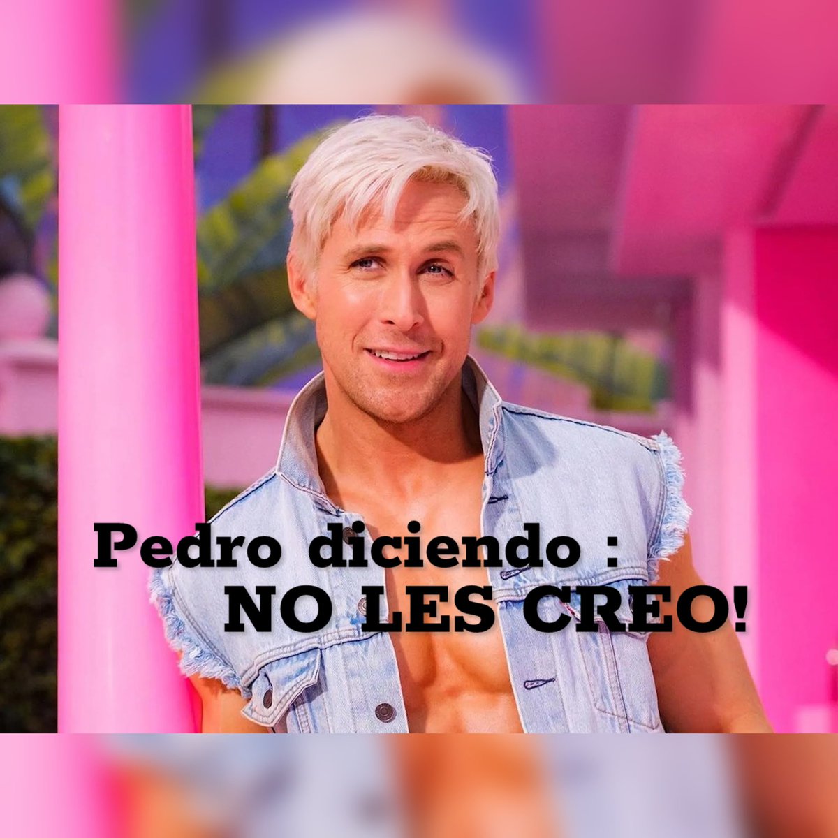 SaoProChile's tweet photo. #GranHermamoCHV https://t.co/2beWSXwe1J