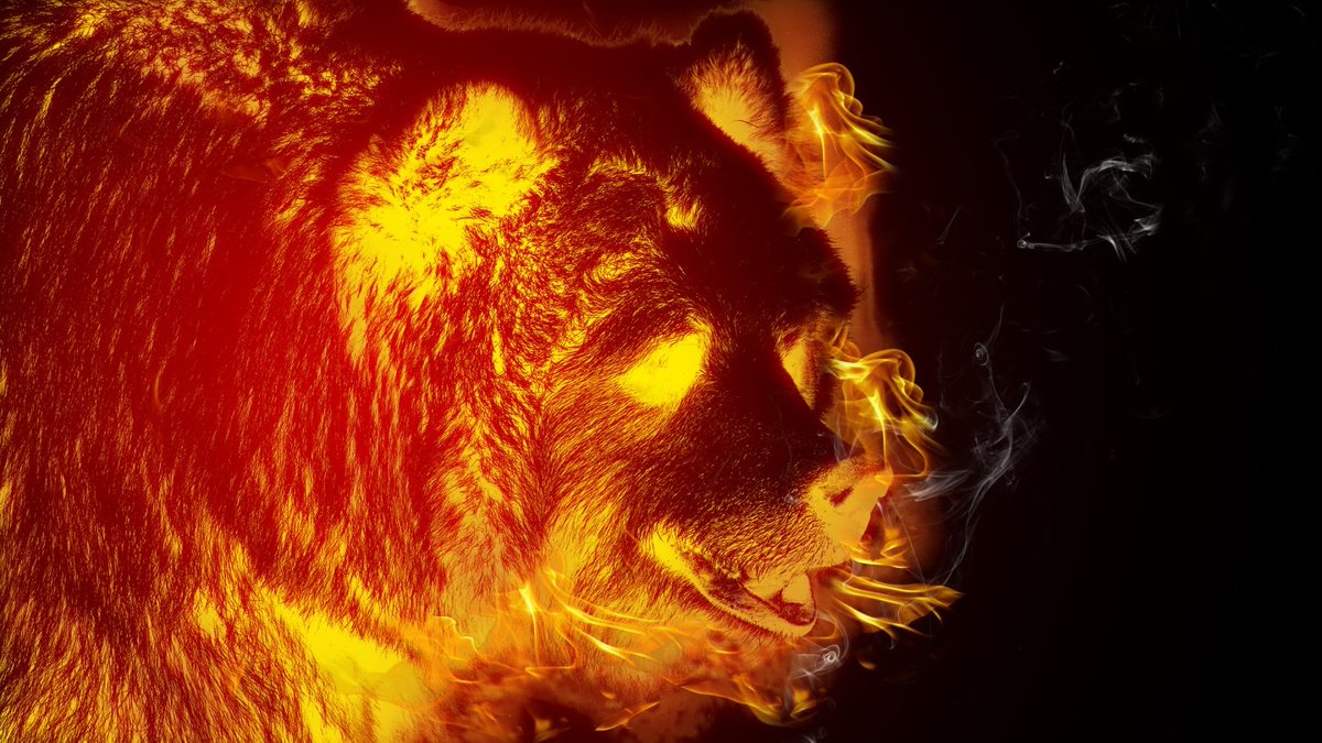 더워..
더우면  불곰인가, 찜곰인가