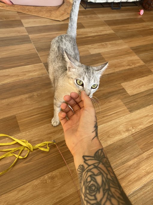 I live by the principle of give-receive.  The Universe is abundant to me and gives me the freedom to<a href="/tag/footfetish"class="tags"><span>#footfetish</span></a><a href="/tag/feet"class="tags"><span>#feet</span></a><a href="/tag/feetpic"class="tags"><span>#feetpic</span></a><a href="/tag/dominafeet"class="tags"><span>#dominafeet</span></a>