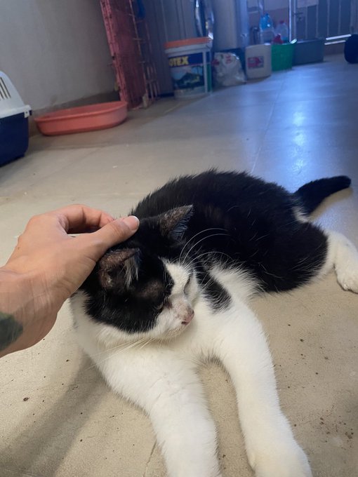 I live by the principle of give-receive.  The Universe is abundant to me and gives me the freedom to<a href="/tag/footfetish"class="tags"><span>#footfetish</span></a><a href="/tag/feet"class="tags"><span>#feet</span></a><a href="/tag/feetpic"class="tags"><span>#feetpic</span></a><a href="/tag/dominafeet"class="tags"><span>#dominafeet</span></a>