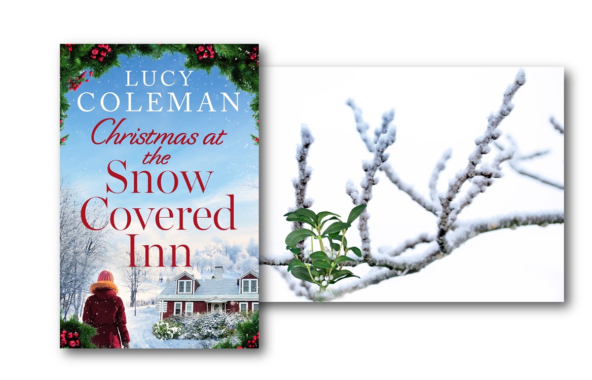 LucyColemanauth's tweet photo. A wintery landscape awaits! 🦌 Ria Porter jumps at the chance to renovate an old inn situated in the White Mountains, New Hampshire. But she wasn't expecting her boss, Hayden, to be quite so charming... or a family feud! https://t.co/W4Vok8bHYB https://t.co/XB73C8f9I8