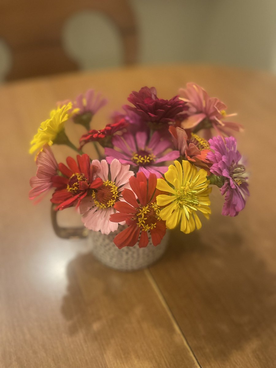 TeachwithAnnie's tweet photo. My mom sure has a pretty flower patch this year! Couldn’t help but to make me a little bouquet today, while at the farm! 🌸 🫶🏽

#Missouri #momsflowers #flowerpatch #farm https://t.co/pBjEE5di71