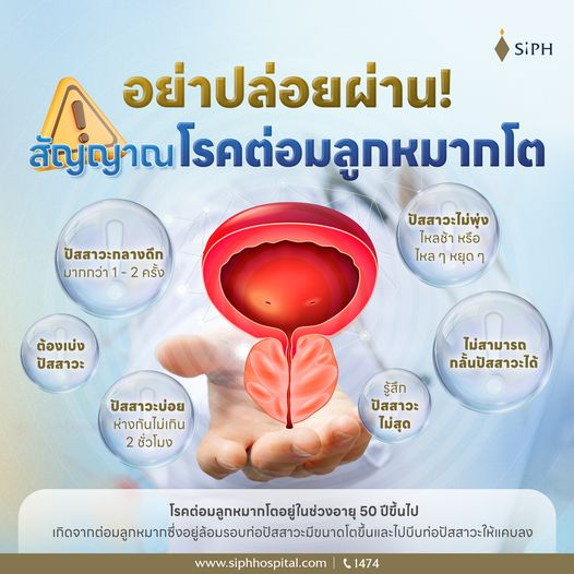 SiPHHospital's tweet photo. "อย่าปล่อยผ่าน! ปัสสาวะบ่อยกลางคืน
กลั้นไม่อยู่ สัญญาณโรคต่อมลูกหมากโต”
#โรคต่อมลูกหมาก #ศูนย์ทางเดินปัสสาวะ #KeyForCare #กุญแจสำคัญของการรักษา
#SiPH #ศิริราชปิยมหาราชการุณย์ https://t.co/2iKdCd9dDj