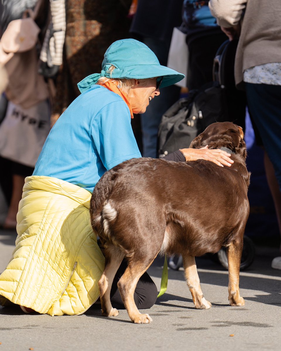 PeopleFirstSt's tweet image. Amazing to be able to host the 15th annual Connect 2 Home Event for the 10th time at our amazing stadium 🤝

The event aims not only to provide immediate relief through essentials but also crucially connects individuals with ongoing support services throughout the year!