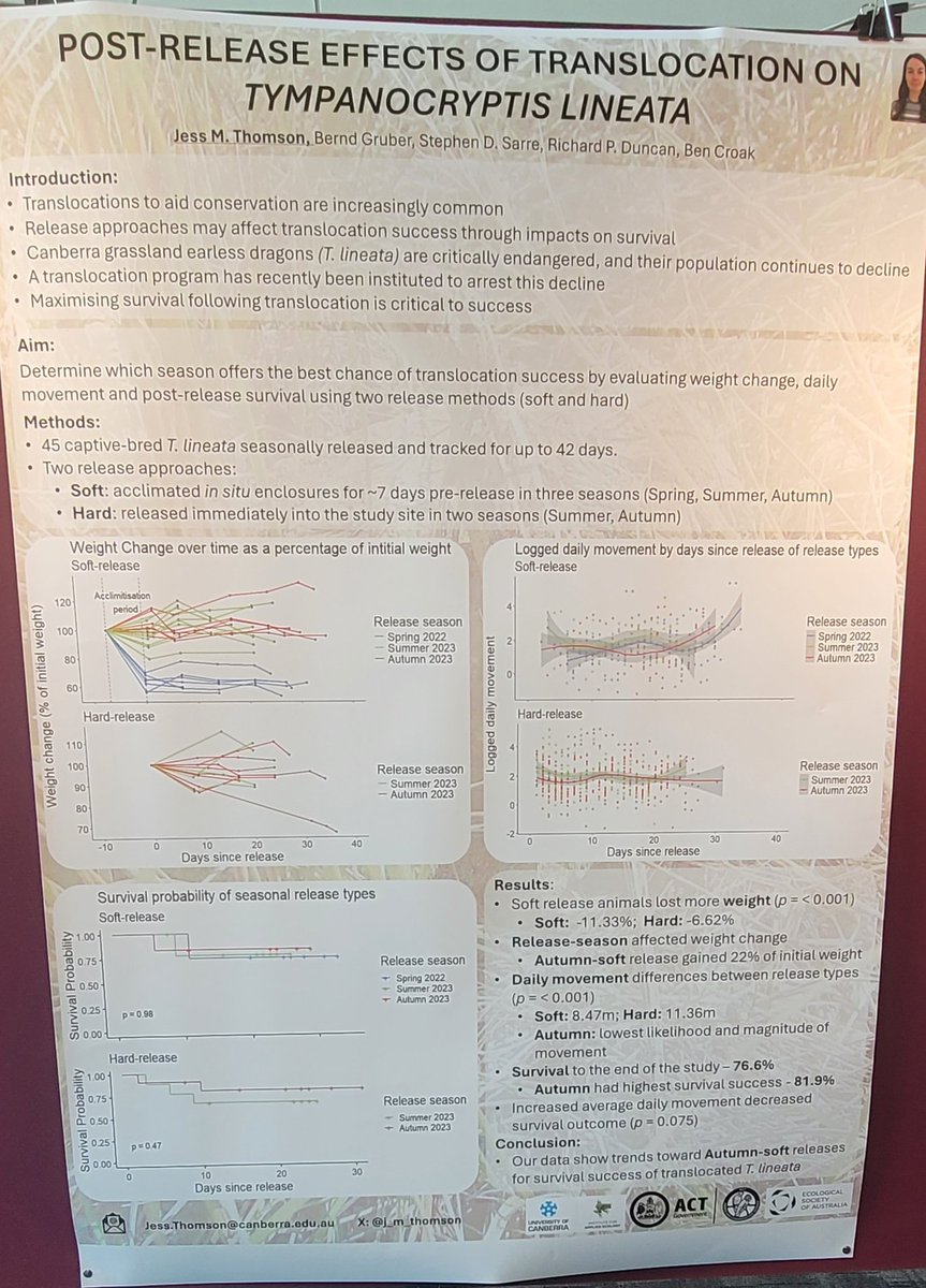jess_m_thomson's tweet image. Come see me at the #WCH10 poster session and find out about post-release effects of translocation on the Canberra grassland earless dragon 🐉 🦎 find me at A-1247 between rooms 5 and 6 😊