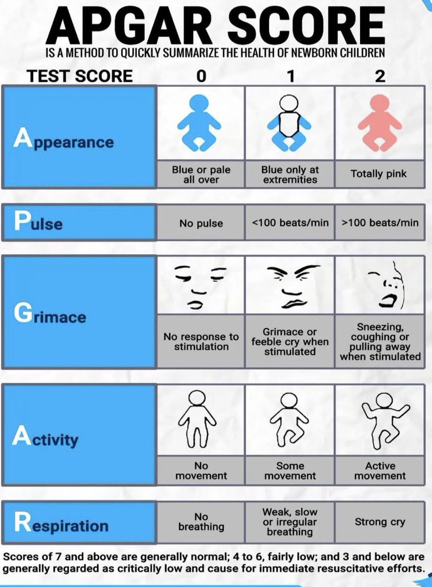Paul_Wischmeyer's tweet photo. APGAR score 👶
#MedEd #pediatrics #foamed https://t.co/F3OPtVmeIP