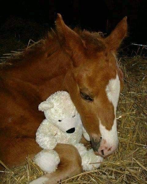 Missing you...