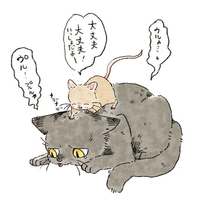 落ち込みやすい黒猫とのんきなネズミ 