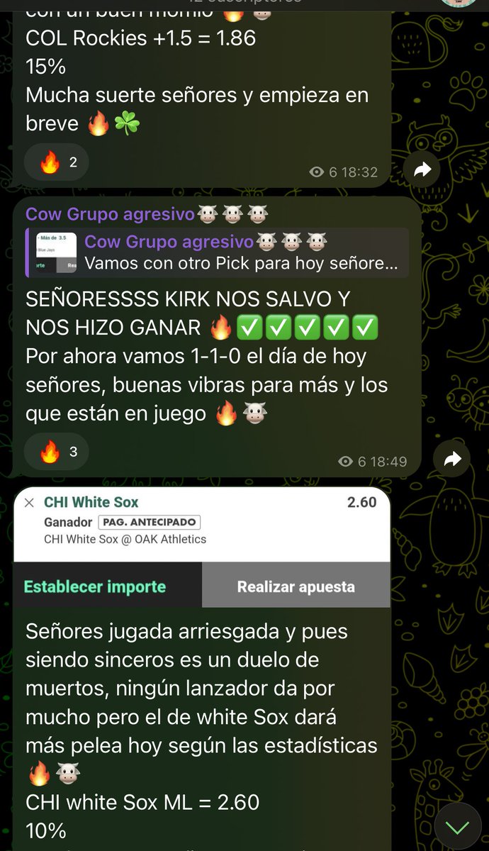 Cow picks 🐮 tweet media