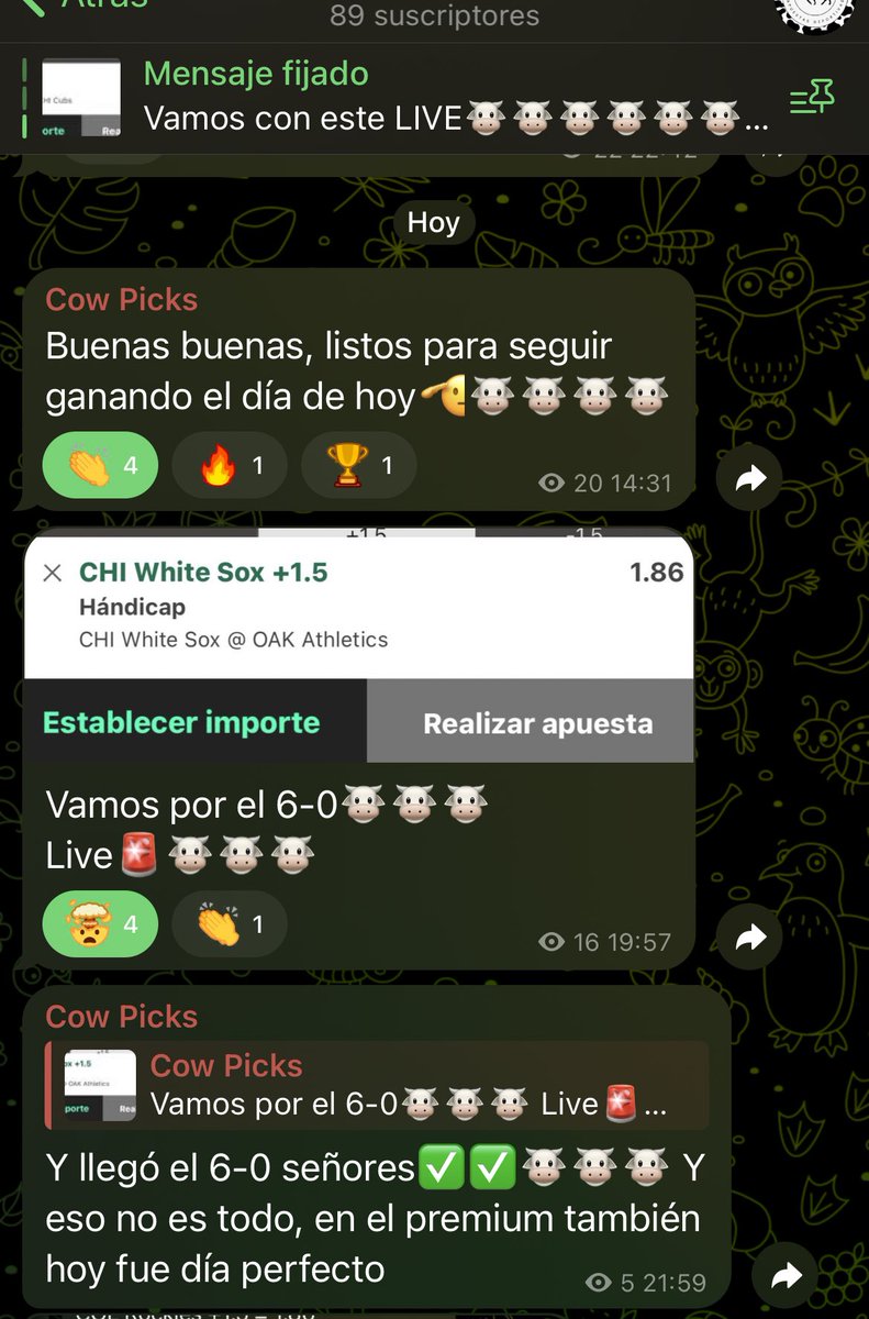 Cow picks 🐮 tweet media