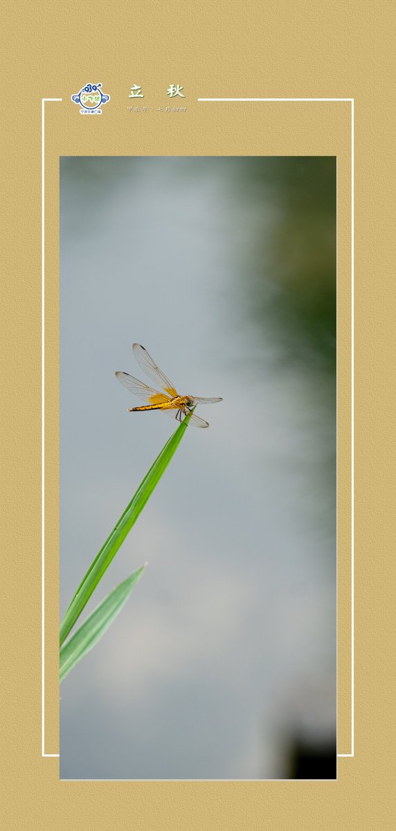 立秋西瓜祓祓秋。今天吃瓜了吗？