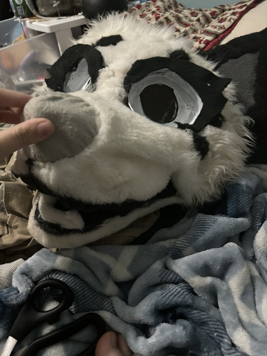 beetlebugz_'s tweet photo. Picked up this suit to refurb, so far I’ve redone the eyes, ears, and added teeth and lashes, it still needs a really good deep clean as he’s a bit dirty #furry https://t.co/vMQx2UCg3h