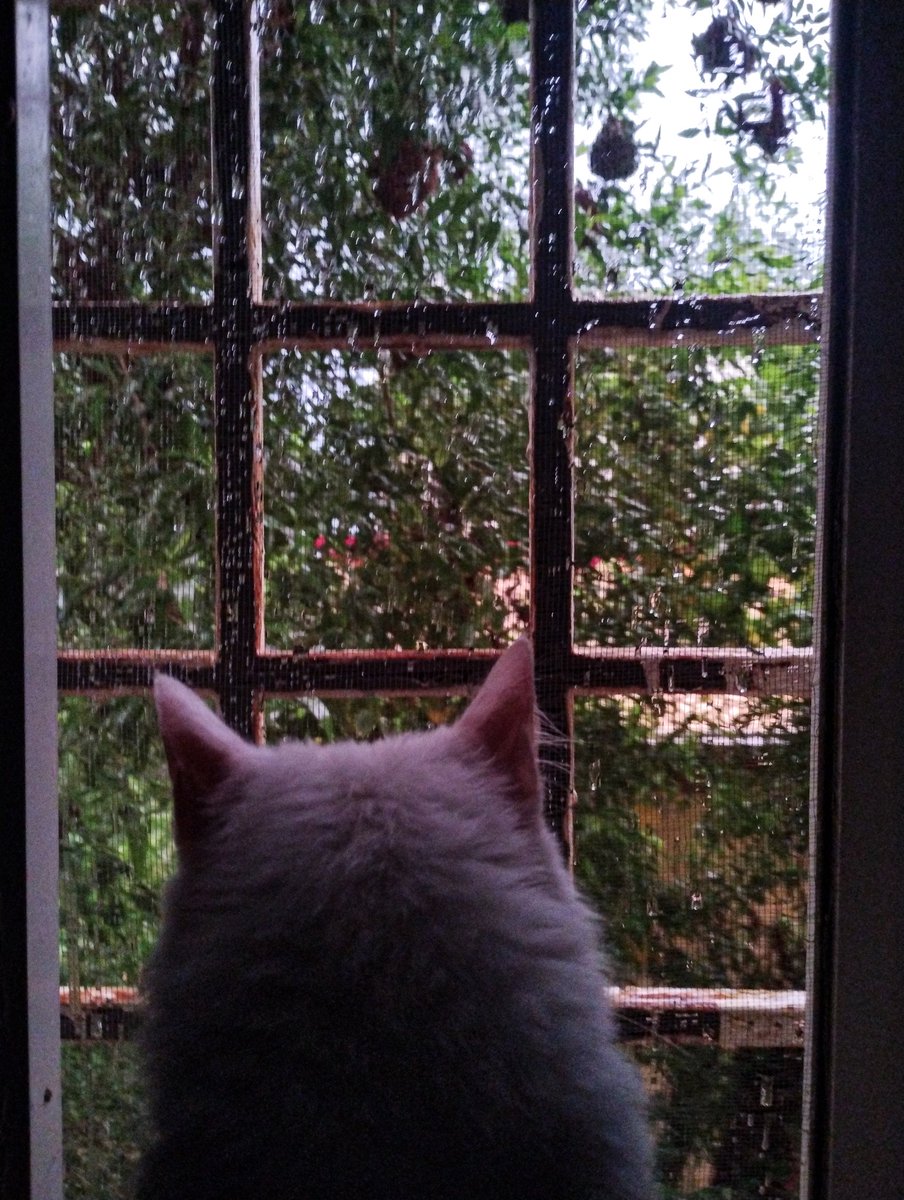 يا جمال الاجواء صباح الخير صباح الروقان
صباح الجو العالمي 💜