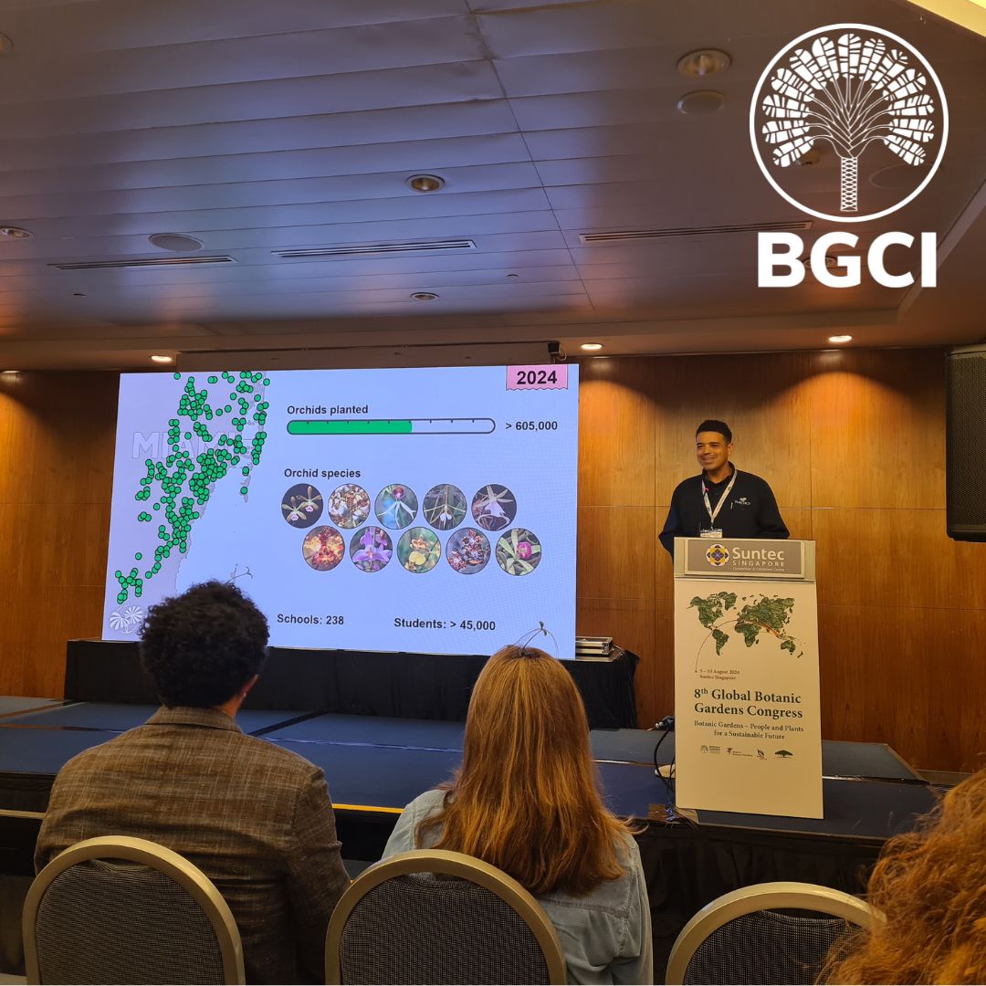 bgci's tweet photo. Amazing sessions from day 1 of #8GBGC - We're enjoying engaging in sessions from global #conservation professionals. 
#ConservationEvents #GlobalConservationNetwork
Pictured: Jason Downing (Fairchild Tropical BG), David Kendal (Uni of Melbourne) &amp; Paul Blanchflower (Auroville BG) https://t.co/xPD7AK2kYN