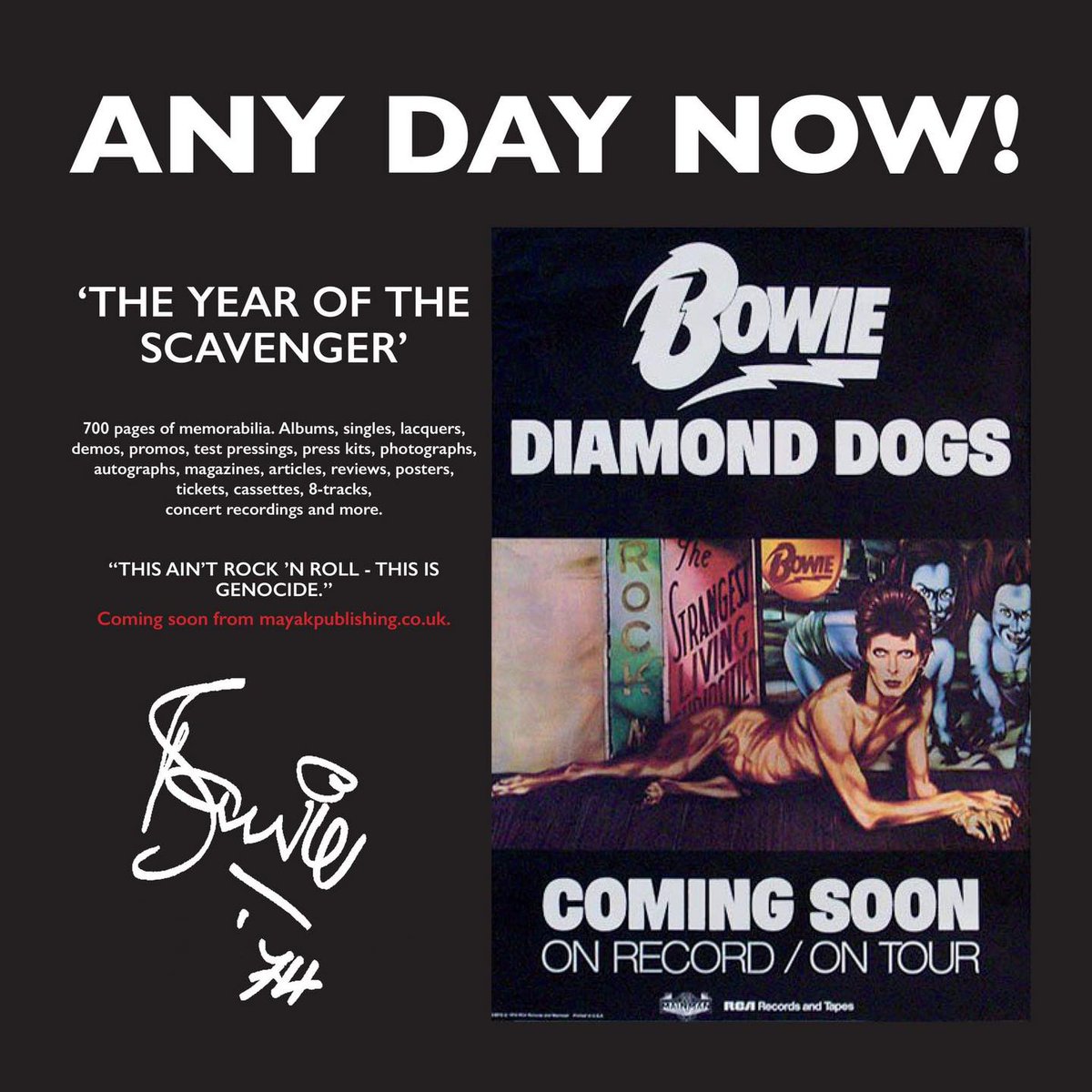 David Bowie books tweet media