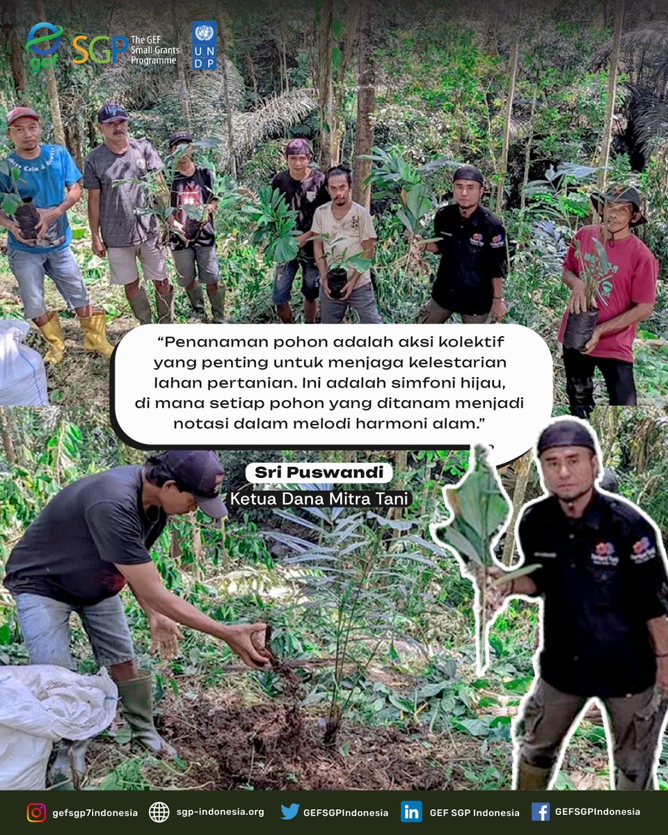 GEFSGPIndonesia's tweet image. The types of saplings planted included #sugarpalm, ebony, and red jabon.

This #tree planting activity is part of the program for the Development and Assistance of #PalmSugar Producing Communities through #Environmentally Friendly Cooperative Enterprises,