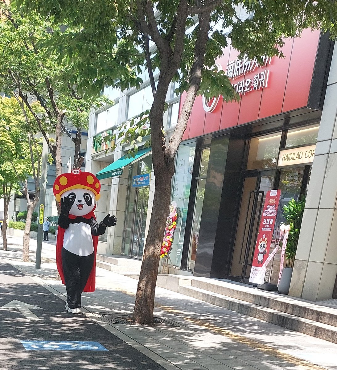 키노 tweet media
