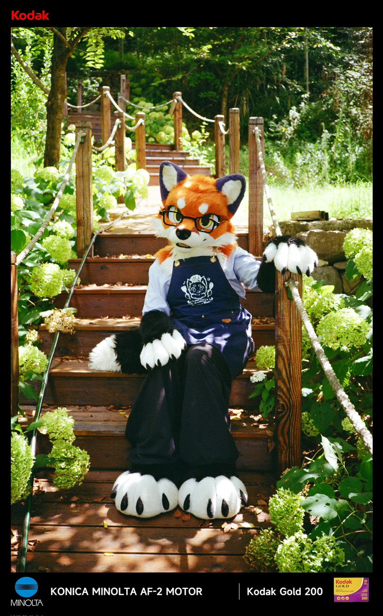 大坏狐狸 tweet media