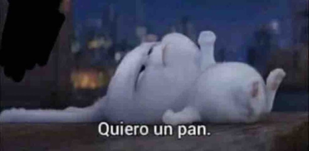 Guarromantico_'s tweet photo. Nadie:

Yo a media noche: https://t.co/o5T3whBXec